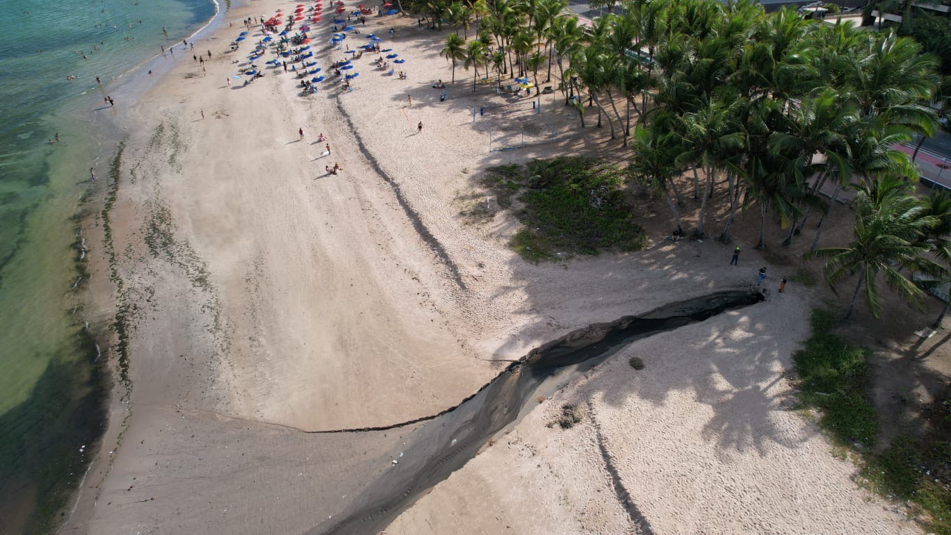 Línguas sujas foram identificadas no mar de Ponta Verde