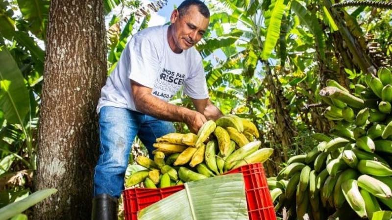 ONU reforça papel das cooperativas como agentes de transformação social