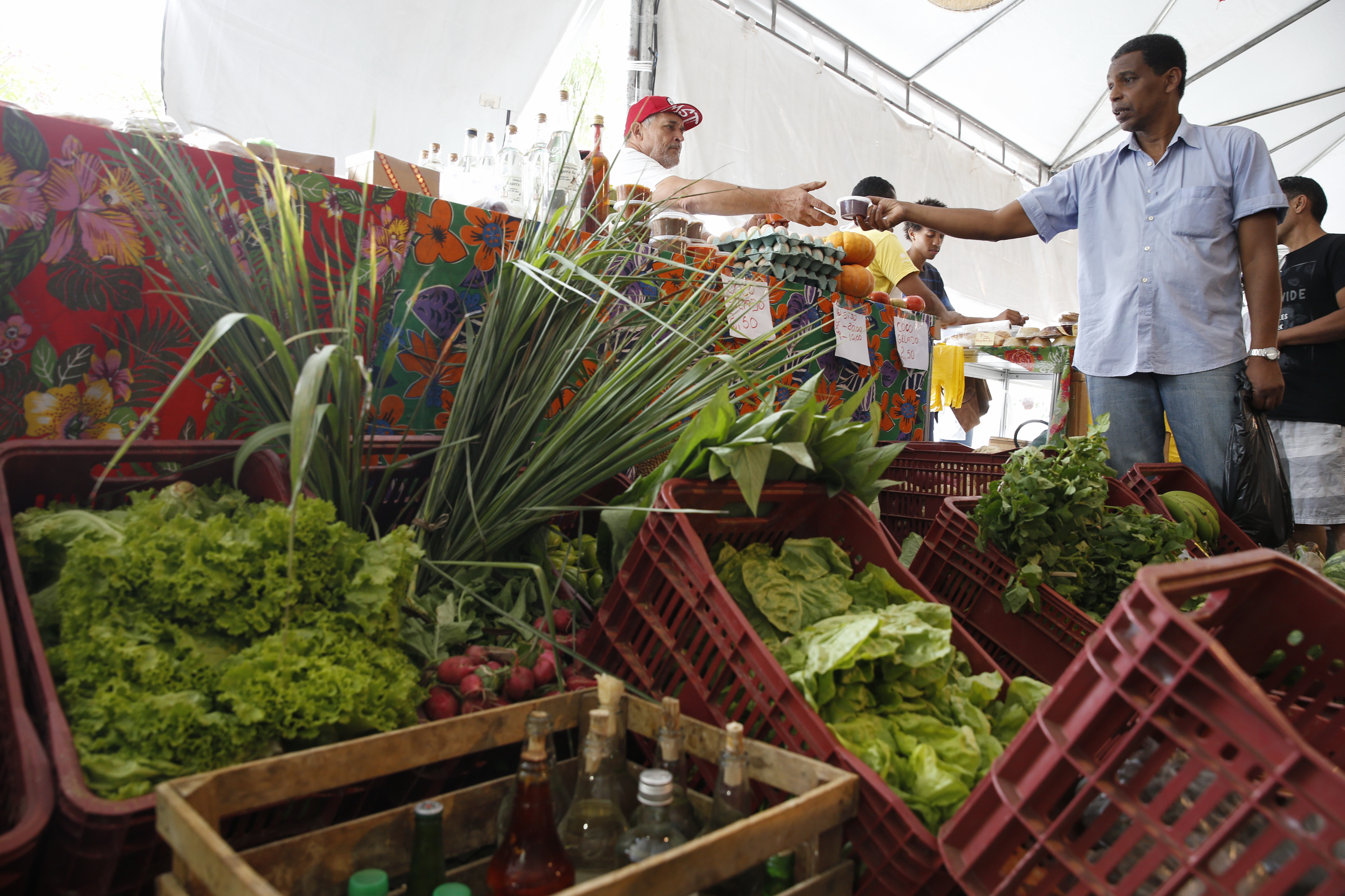 Decreto adia para 2027 exigência de CNPJ para autônomos e produtores rurais