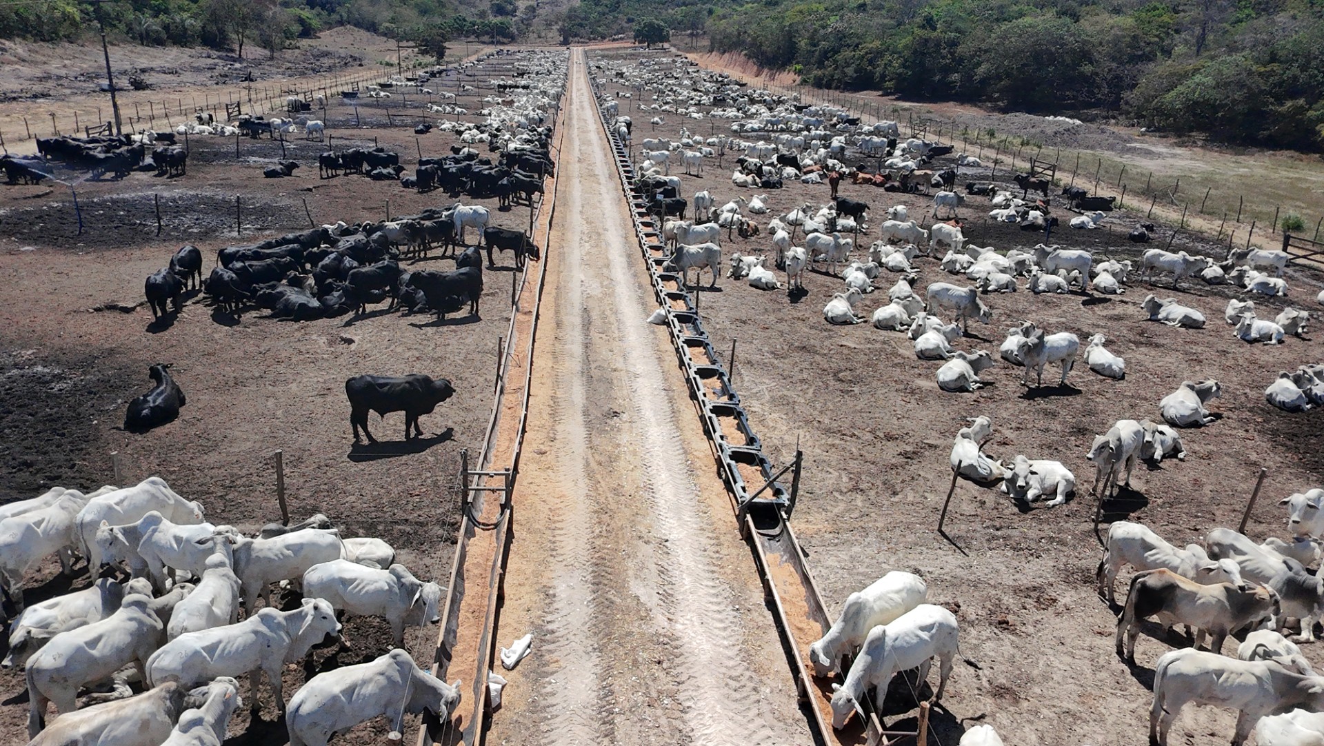 Boitel da Cooperativa Pindorama gera renda no campo e fomenta a economia circular