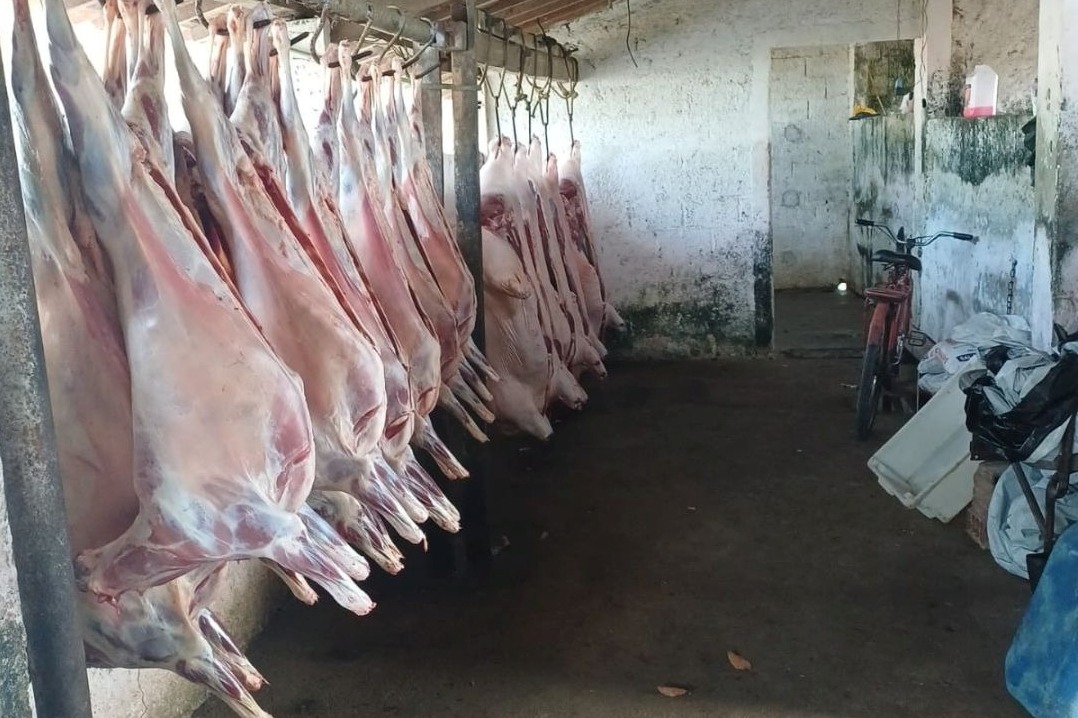 Polícia flagra abatedouro clandestino em União dos Palmares; dono foi preso