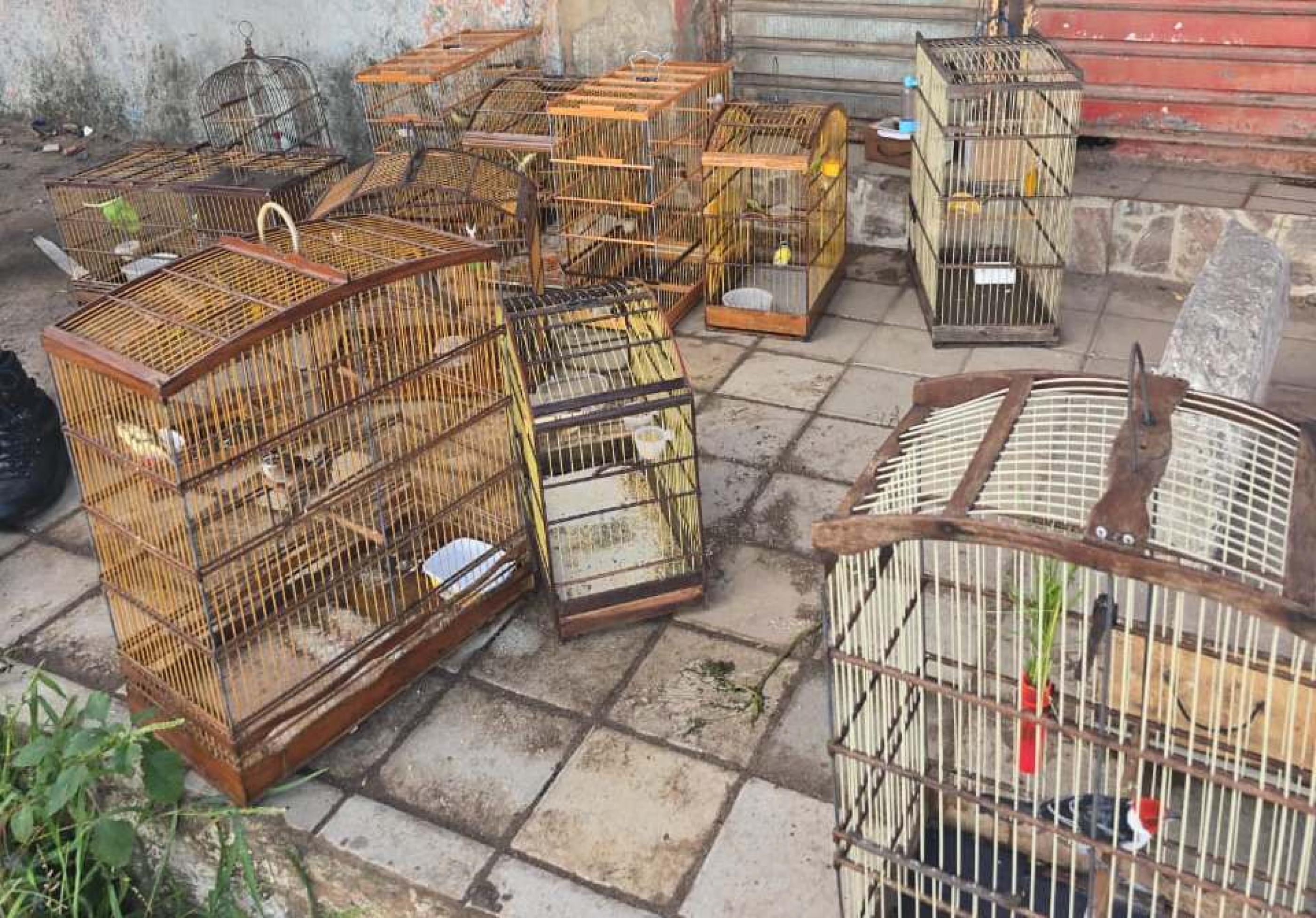 PM-AL intensifica combate a crimes ambientais, tráfico de drogas e porte ilegal de arma na capital e no interior