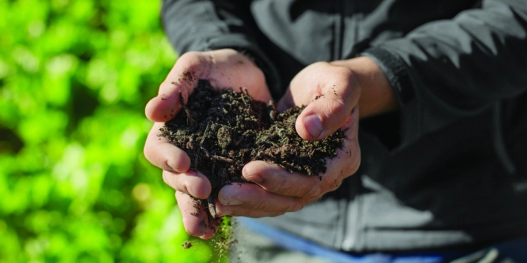 Cooperativismo agropecuário amplia ações para monitorar emissões de carbono