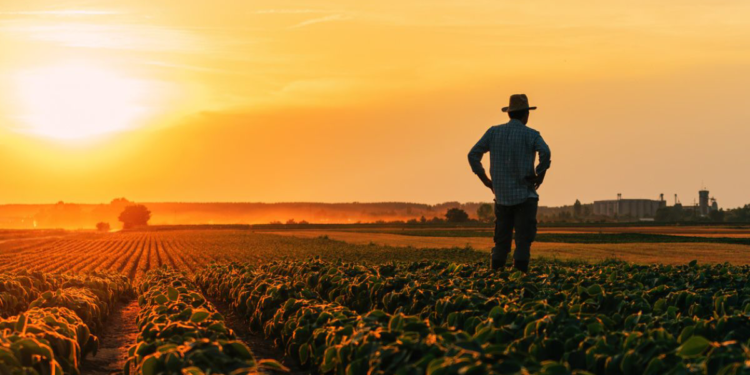 Cooperativas agro ampliam investimentos em 2026