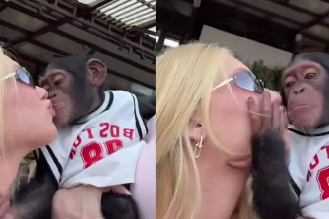 Virgínia Fonseca beija macaco em Dubai e divide opiniões na net