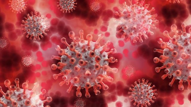 Alagoas registra 8 novos casos de Covid-19, nesta terça-feira (28)