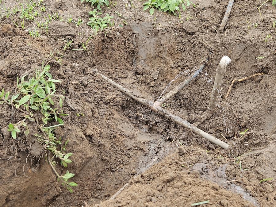 Operação da Casal identifica diversas ligações clandestinas em Arapiraca