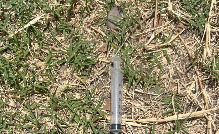 Projeto de lei cita Maceió para defender regras nacionais sobre descarte de agulhas