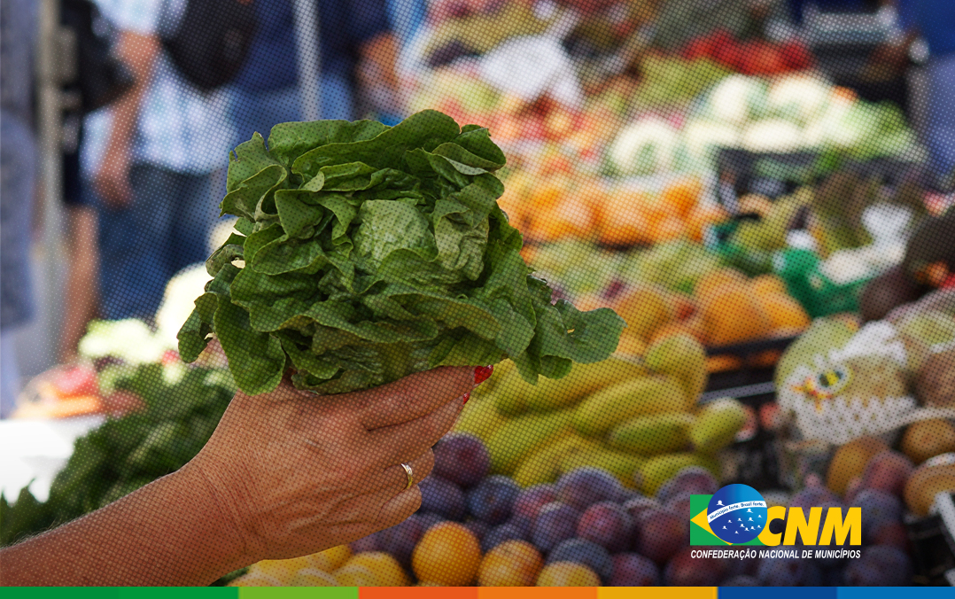 Agricultores familiares de Alagoas recebem pagamento do Garantia-Safra em julho