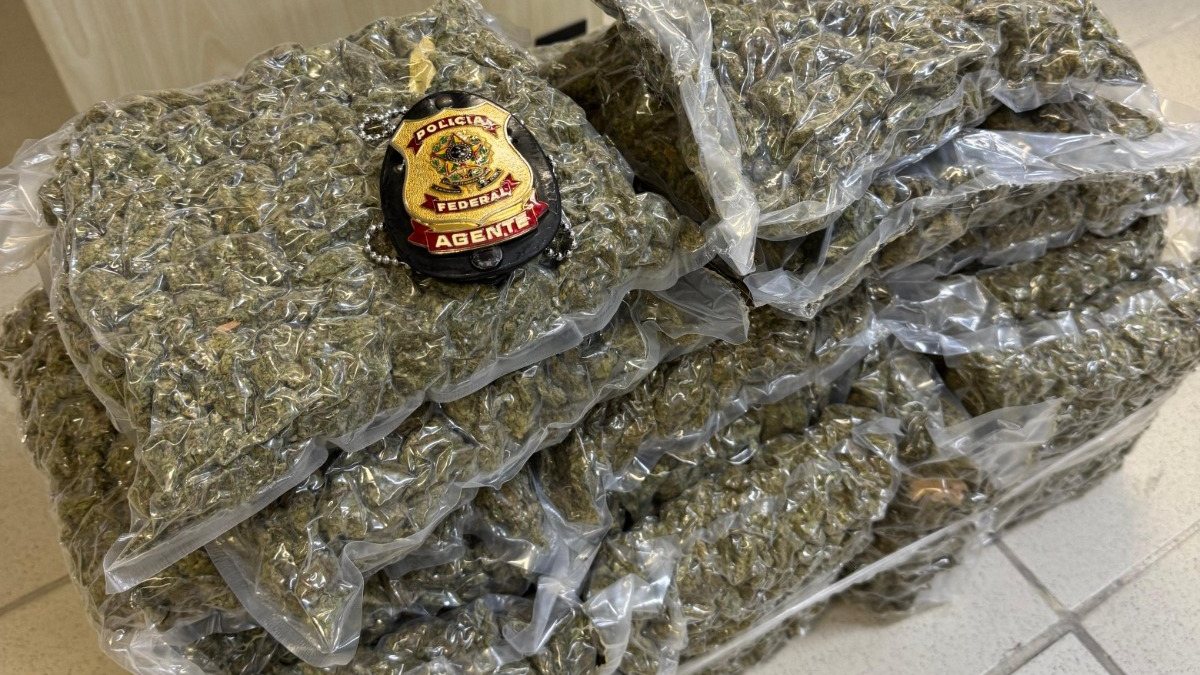 PF abre inquérito após apreensão de 15 kg de maconha em aeroporto de Alagoas