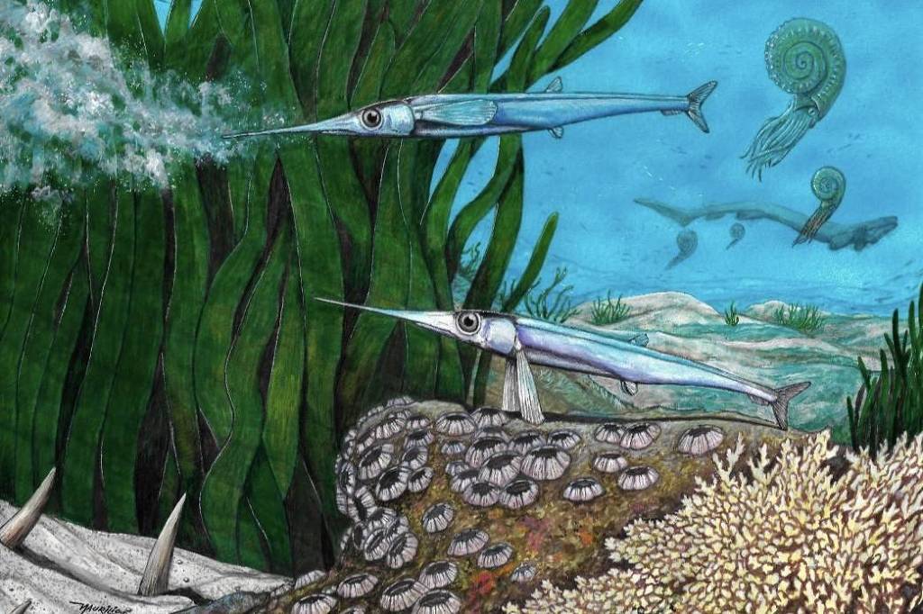Espécie de peixe identificada por brasileiros viveu há 66 milhões de anos na Antártida