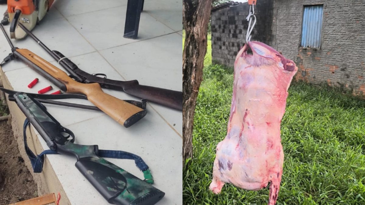 Polícia Ambiental apreende armas e interrompe abate clandestino em Alagoas