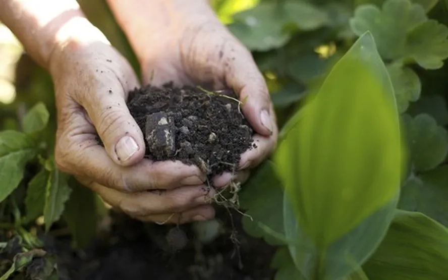 Agricultores priorizam redução de endividamento na safra 2025/26