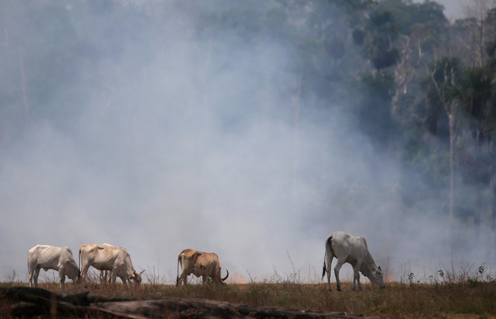 COP26: cerca de 100 nações apoiam promessa de reduzir emissões de metano