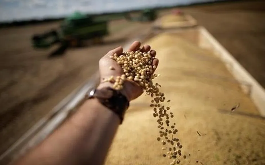 Faturamento das cooperativas agropecuárias cresceu 20% em 2022