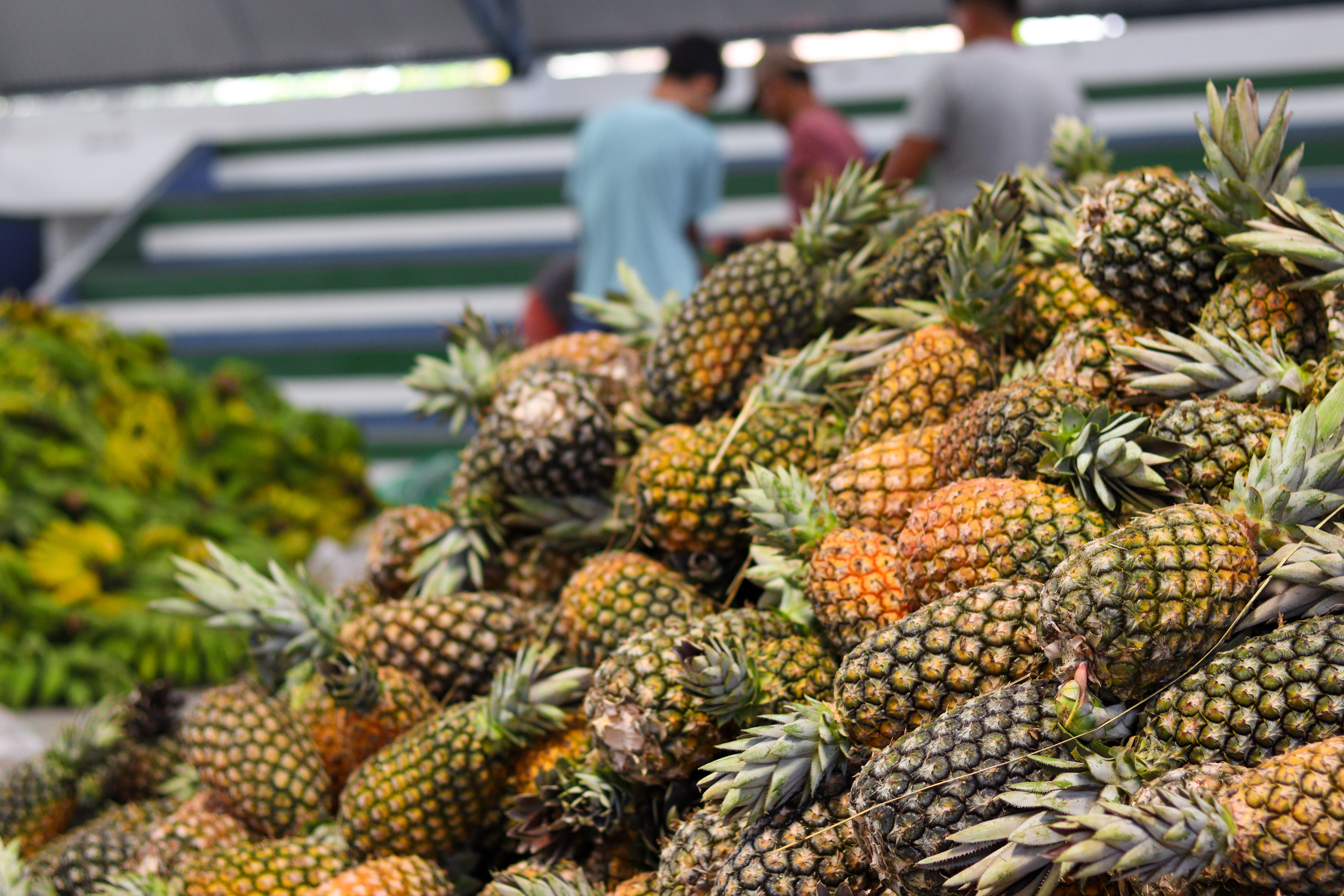 Educação inicia entrega de mais de 50 mil kits da agricultura familiar nas escolas