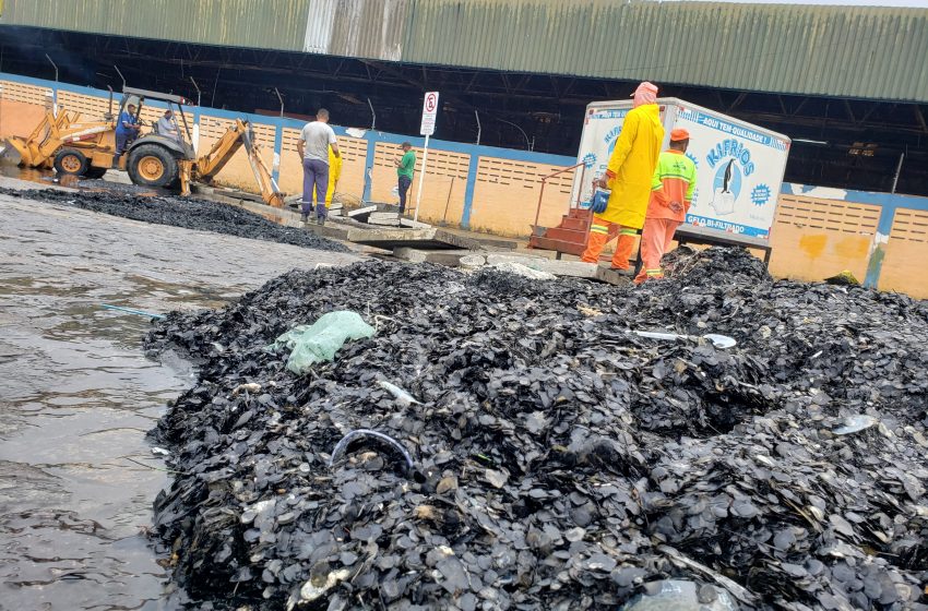Mutirão de limpeza retira 25 toneladas de lixo do Mercado da Produção