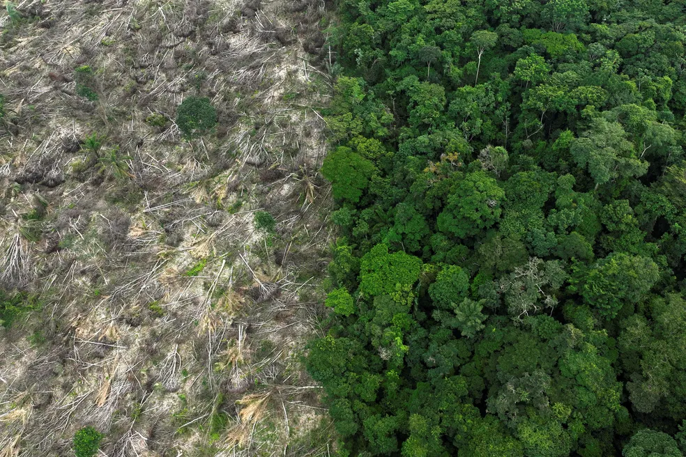 Alertas de desmatamento na Amazônia caem e atingem menor nível da série