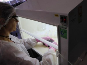 Nº de casos suspeitos de coronavírus sobe para 14 em AL