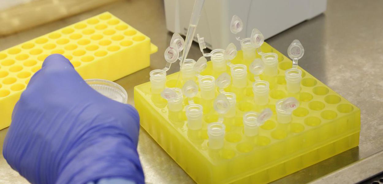 Britânicos que produzem vacina farão testes com 10 mil pessoas