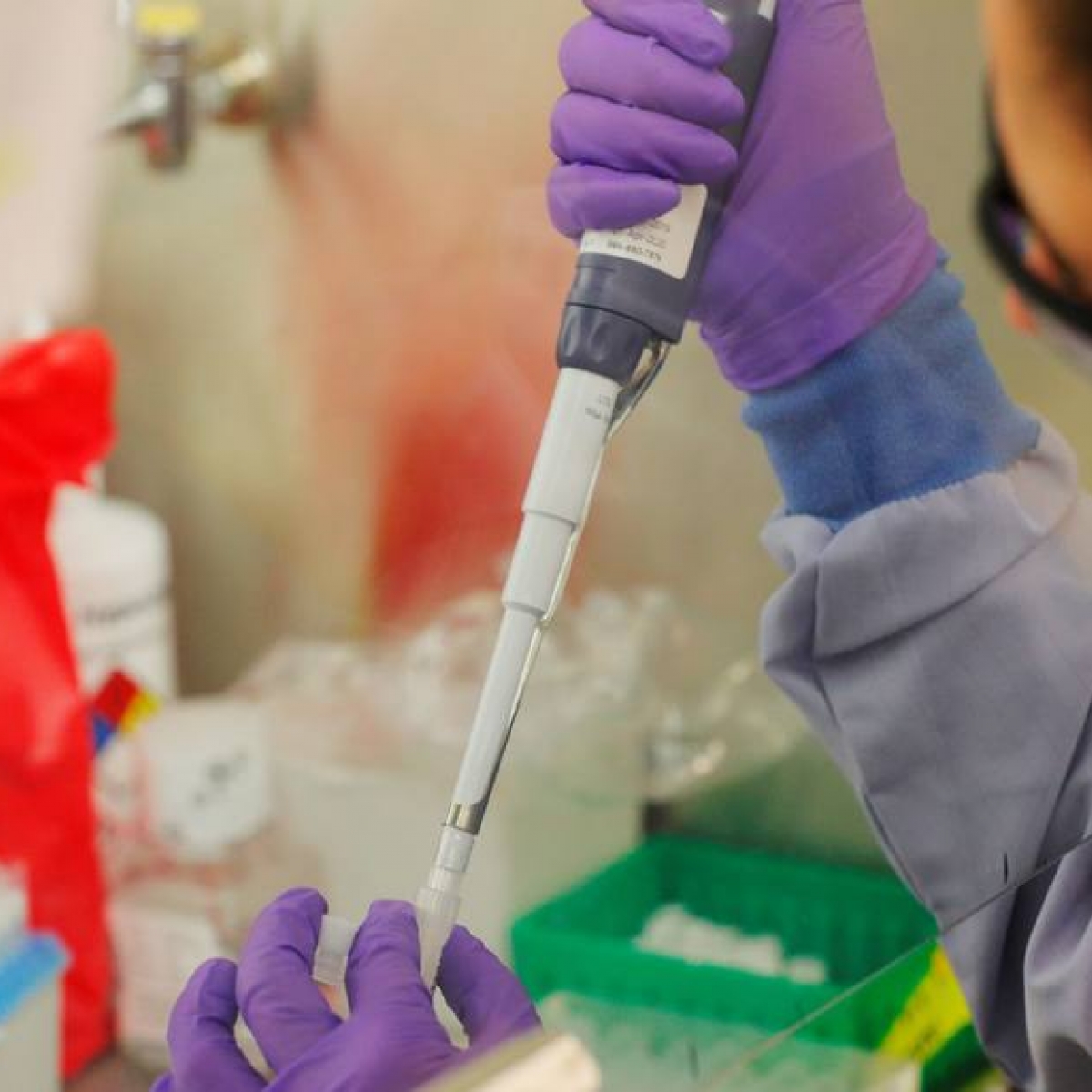 Coronavírus sofre mutação que pode tornar-lo mais vulnerável às vacinas