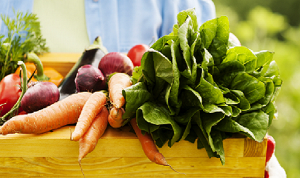 Exportações do setor agroalimentar continuam a crescer