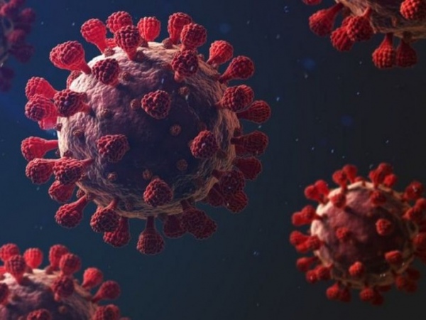 Variação da Covid-19 é entre 50% a 74% mais contagiosa