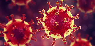 Alagoas registra 514 novos casos de covid-19 neste sábado