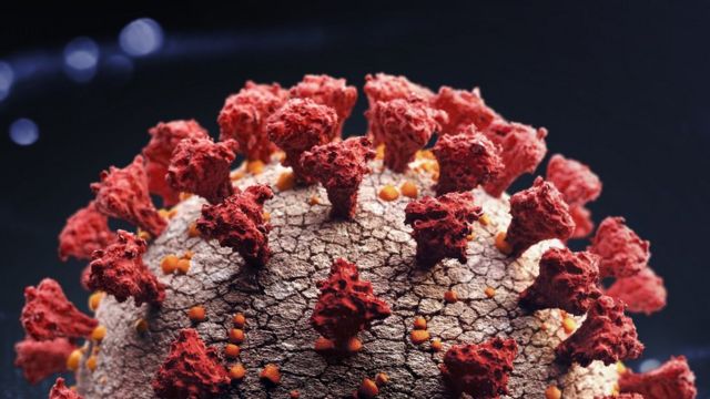 São confirmados 25 casos da variante brasileira da covid-19