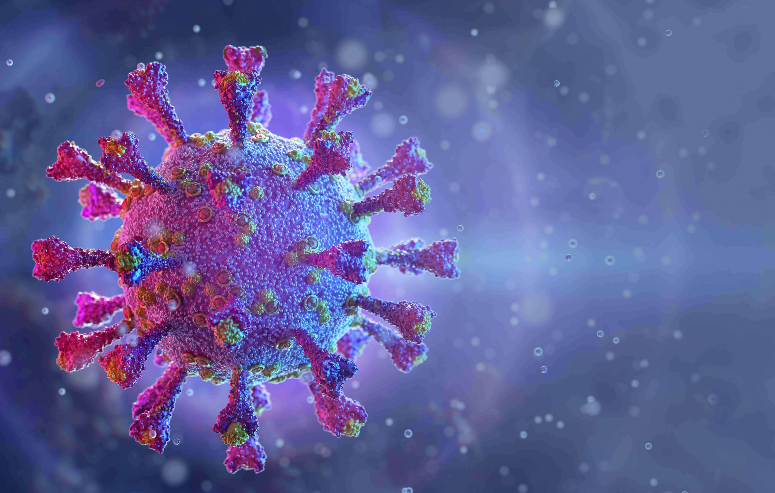 Estado registra 20 mortes pela Covid-19 em 24 horas