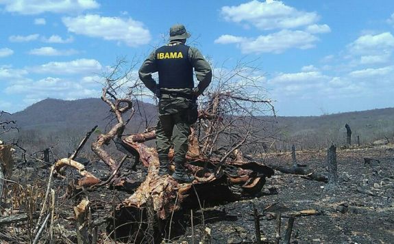 Políticos alagoanos somam mais de R$ 1,7 milhão em multas ao Ibama