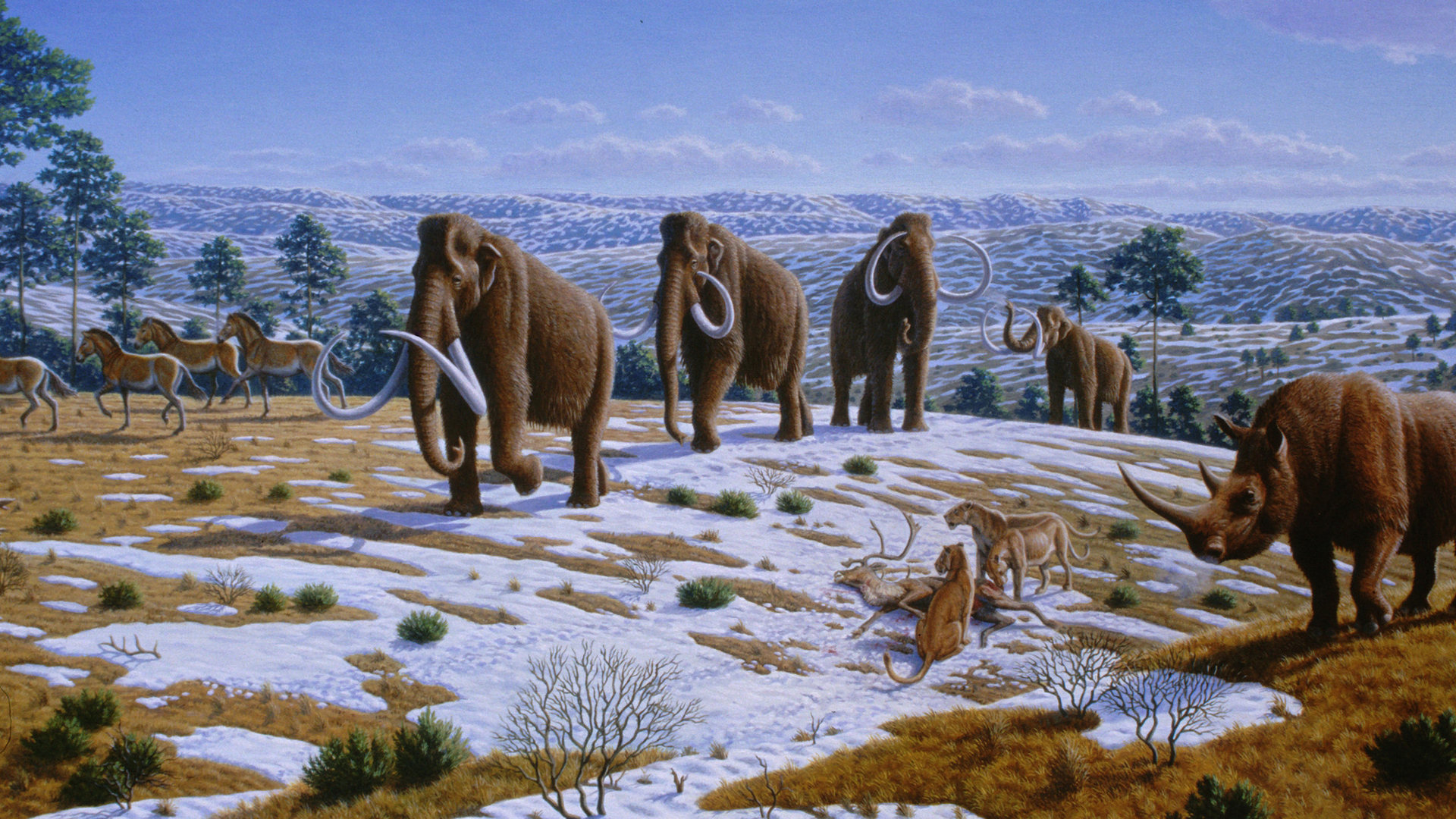 Estudo questiona papel humano na extinção da megafauna nas Américas