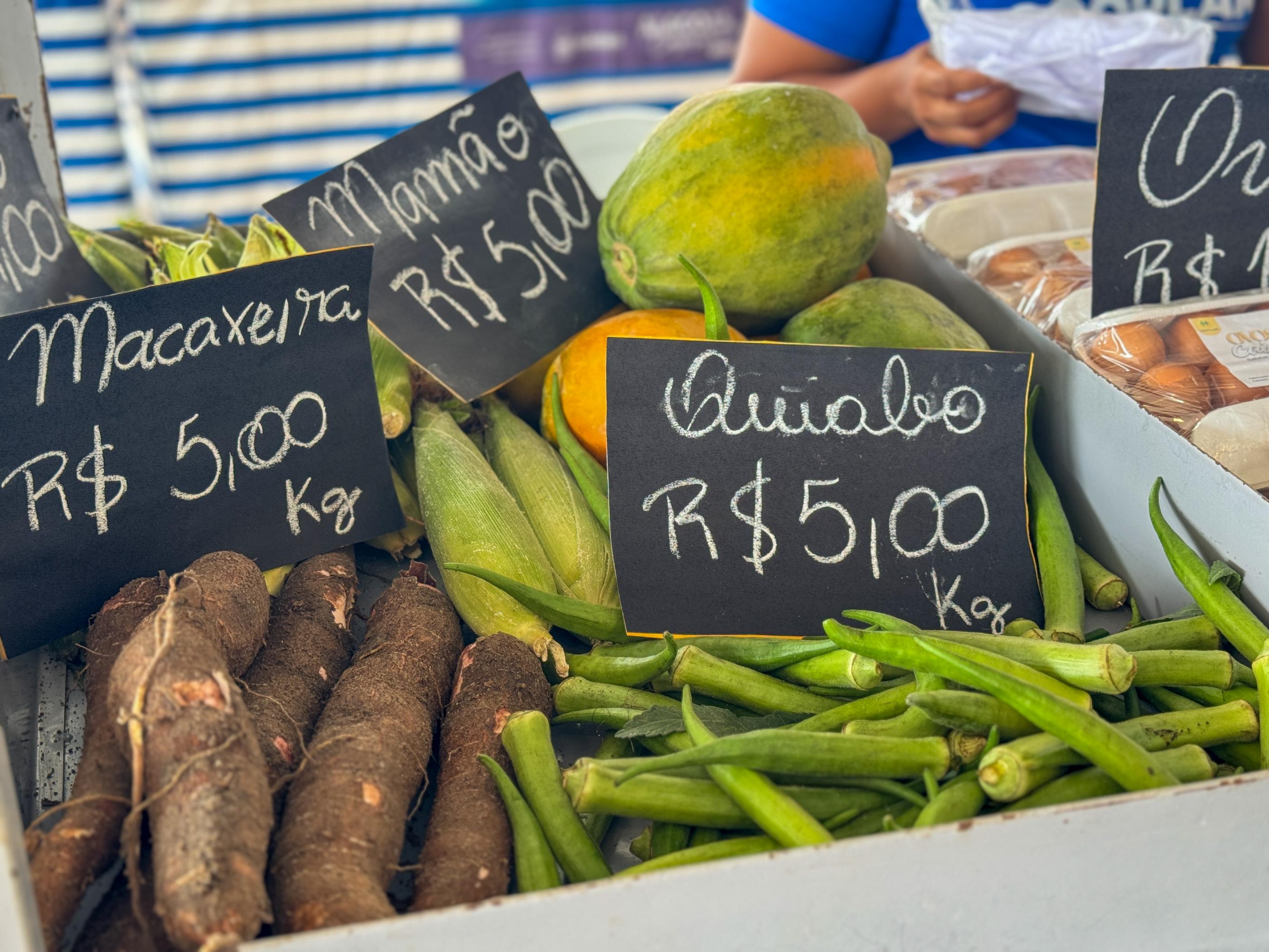 Feira em Murici reúne produtores de 8 municípios