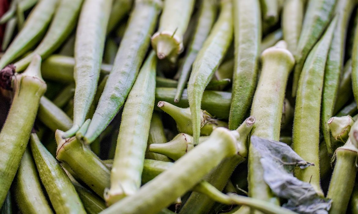 Garantia-Safra: confira a lista de beneficiários que recebem em abril