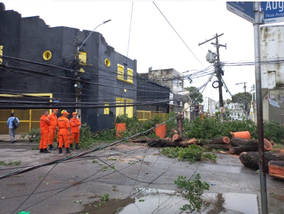Árvore tomba na Rua das Árvores interditando via e deixando a região sem energia