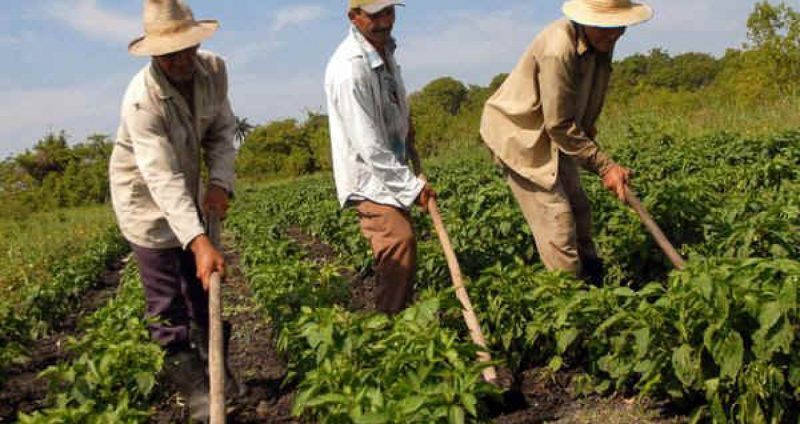 Balanço Social: Tecnologias sustentáveis evoluem em Sergipe e Alagoas