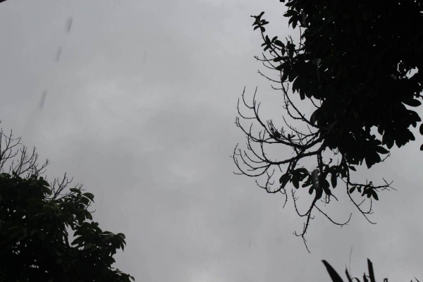 Feriado do Dia do Trabalhador em Alagoas tem previsão de chuva