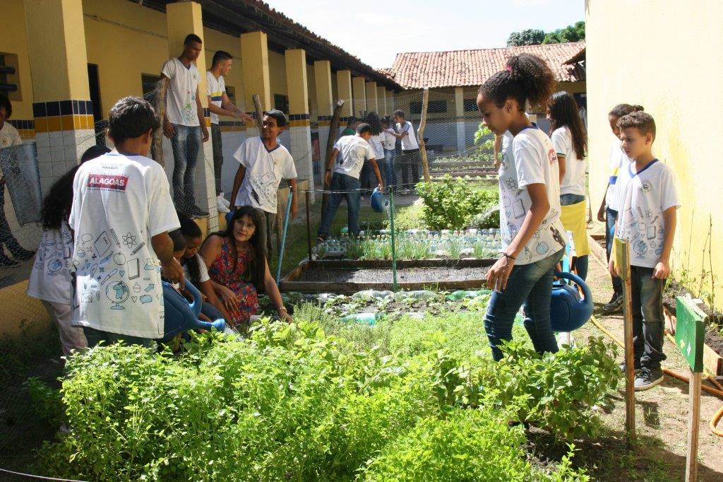Sessenta escolas da rede de ensino estadual têm horta escolar