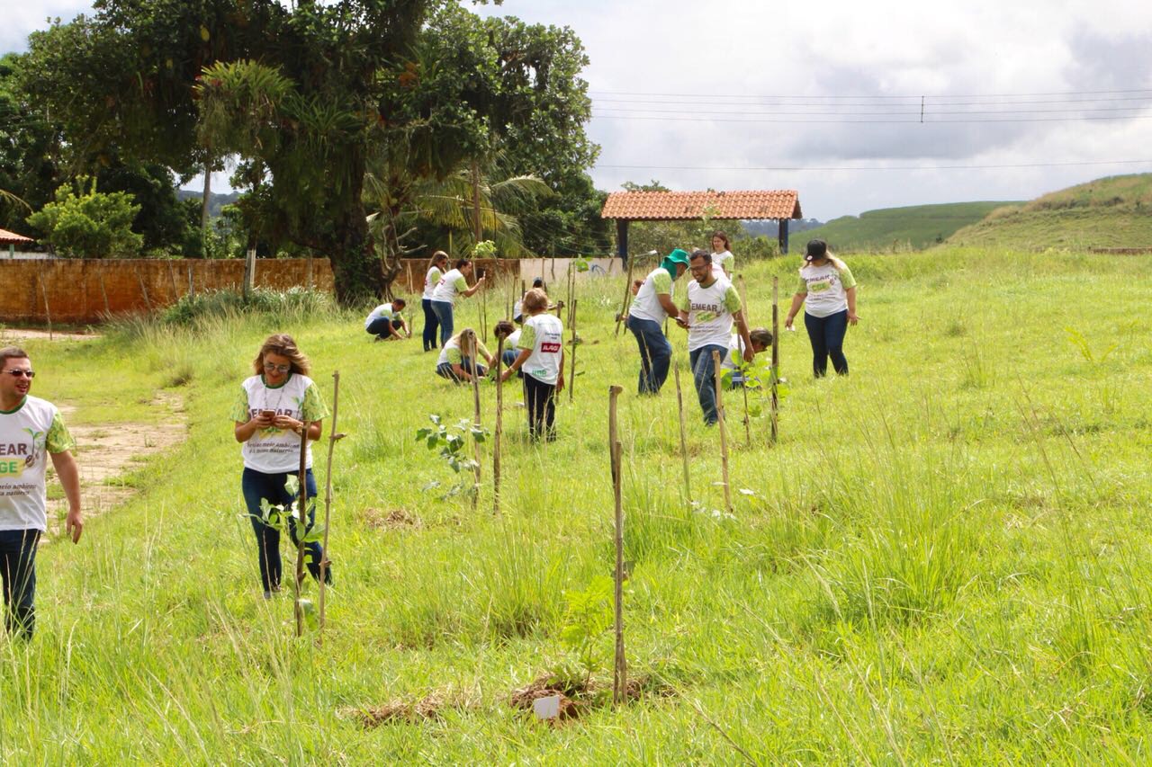 Servidores da CGE fazem plantio de 140 árvores no lançamento do Projeto Semear