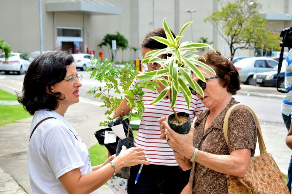Semana Maceió Mais Sustentável doará mais de mil mudas