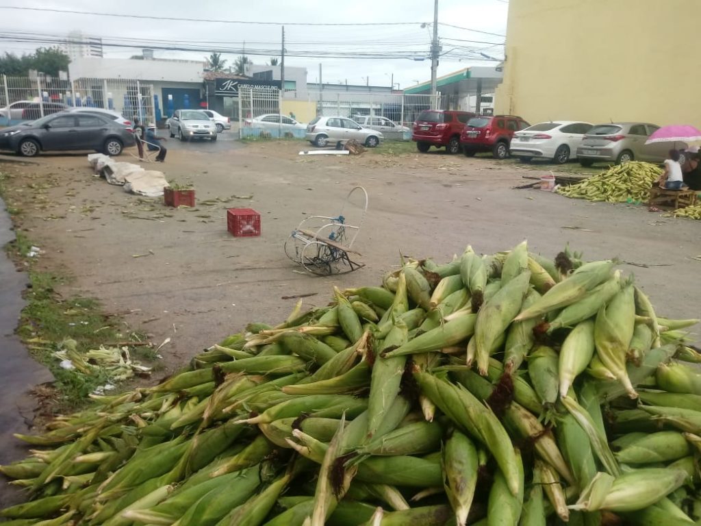 Secretaria define local para venda de milho no Jacintinho; confira