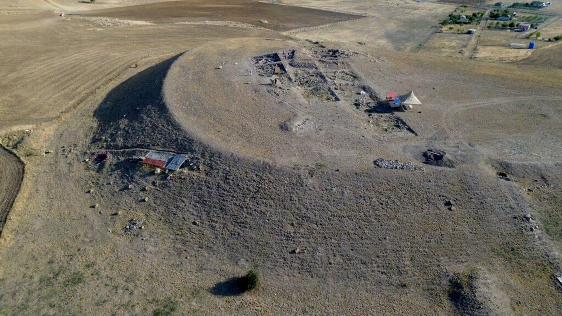 Arqueólogos descobrem flor rara de Ancara preservada há 4 mil anos em sítio