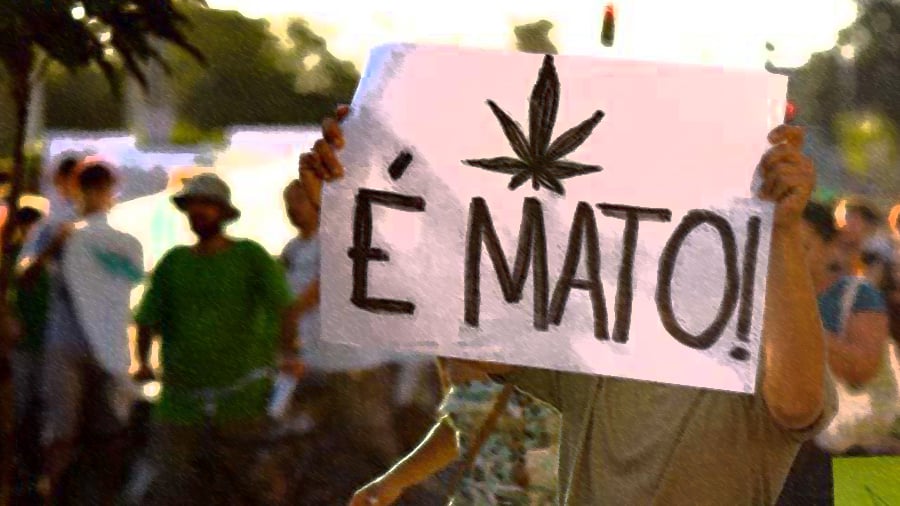 STF deve decidir sobre a descriminalização do porte da maconha