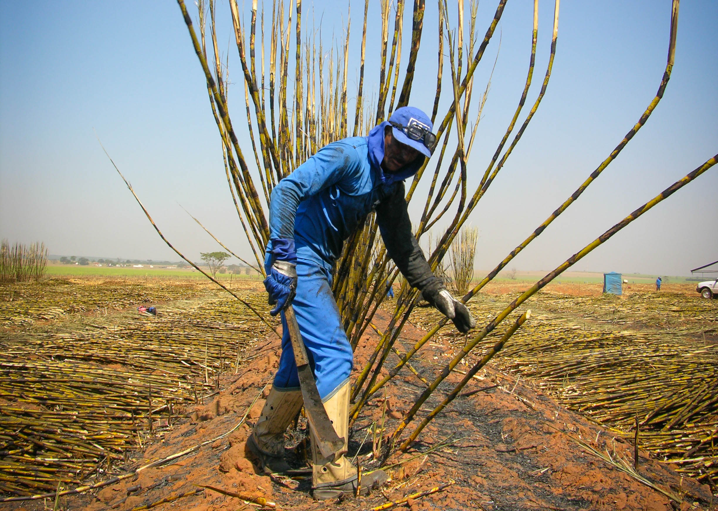 MPT promove audiência pública para discutir NR 31