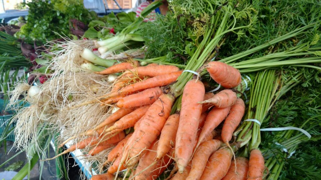 Mercado do Jaraguá ganha pontos para agroecológicos