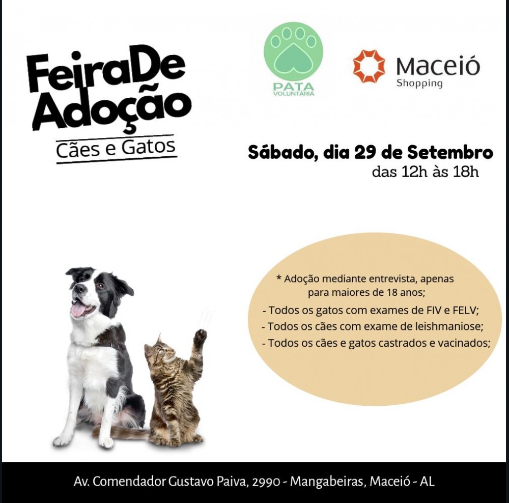 Feira de Adoção de Cães e Gatos no Maceió Shopping