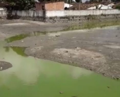 Prefeitura de Pilar retira jacarés de dentro de lago da cidade
