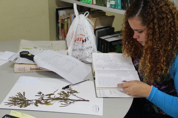 Herbário do IMA/AL oferece minicurso gratuito para estudantes