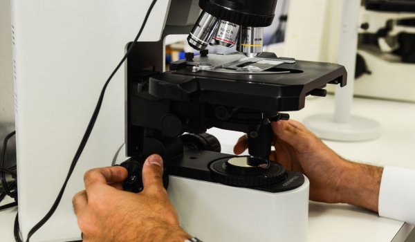 No dia de combate ao câncer, entidades defendem rapidez em diagnóstico