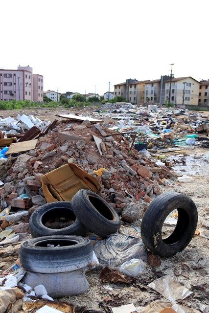 Alagoas registra 133 casos de dengue em janeiro